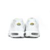 Nike Air Max Plus 604133-139
