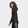 Adidas Fabric Clash Trefoil Hoodie HC1951