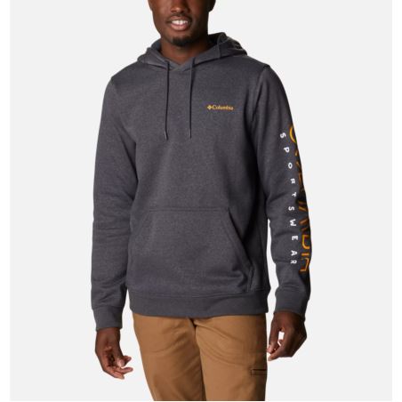 Columbia CSC Basic Logo II Hoodie 1681664008