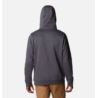 Columbia CSC Basic Logo II Hoodie 1681664008