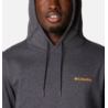 Columbia CSC Basic Logo II Hoodie 1681664008