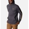 Columbia CSC Basic Logo II Hoodie 1681664008
