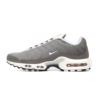 Nike Air Max Plus SE Flat Pewter DV7665-002