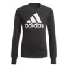 Adidas Older Girls Adidas Logo Sweatshirt GP0040