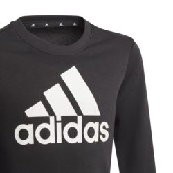 Adidas Older Girls Adidas Logo Sweatshirt GP0040