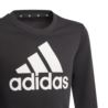 Adidas Older Girls Adidas Logo Sweatshirt GP0040