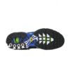 Nike Air Max Plus FZ4628-001 Nike Air Max Plus FZ4628-001