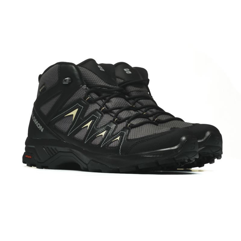 Salomon X BRAZE MID GTX L47430500 Salomon X BRAZE MID GTX L47430500