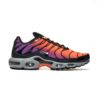 Nike AIR MAX PLUS DM0032-014 Nike AIR MAX PLUS DM0032-014