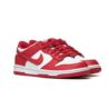 Nike DUNK LOW (GS) FB9109-119 Nike DUNK LOW (GS) FB9109-119