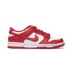 Nike DUNK LOW (GS) FB9109-119 Nike DUNK LOW (GS) FB9109-119