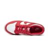 Nike DUNK LOW (GS) FB9109-119 Nike DUNK LOW (GS) FB9109-119