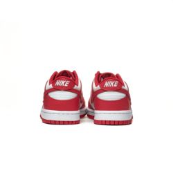 Nike DUNK LOW (GS) FB9109-119