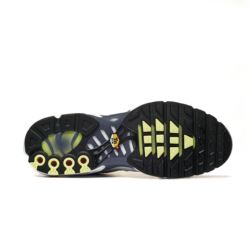 Nike AIR MAX PLUS HV6227-001