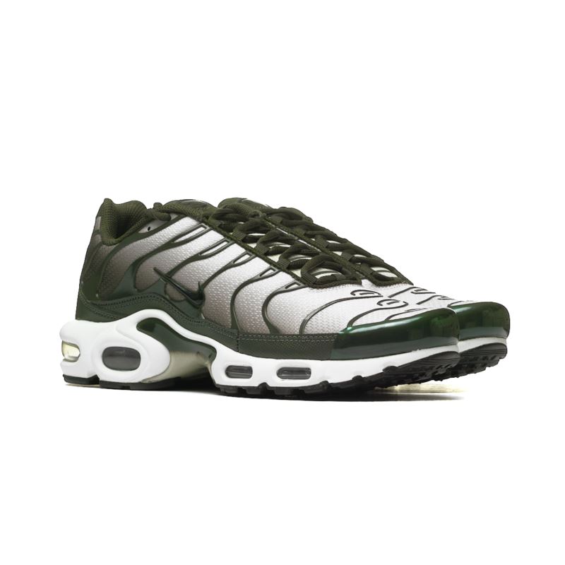 Nike AIR MAX PLUS DM0032-300 Nike AIR MAX PLUS DM0032-300