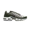 Nike AIR MAX PLUS DM0032-300 Nike AIR MAX PLUS DM0032-300