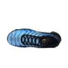 Nike AIR MAX PLUS OG DX0755-001 Nike AIR MAX PLUS OG DX0755-001