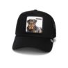 Goorin Bros The Guard Dog 101-1767-EBO Goorin Bros The Guard Dog 101-1767-EBO