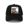 Goorin Bros The Guard Dog 101-1767-EBO Goorin Bros The Guard Dog 101-1767-EBO