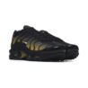 Nike Air Max Plus GS IB2870-001 Nike Air Max Plus GS IB2870-001