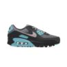 Nike AIR MAX 90 DM0029-013 Nike AIR MAX 90 DM0029-013