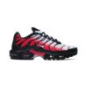 Nike AIR MAX PLUS DM0032-017 Nike AIR MAX PLUS DM0032-017