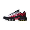 Nike AIR MAX PLUS DM0032-017 Nike AIR MAX PLUS DM0032-017