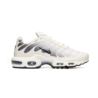 Nike AIR MAX PLUS DM0032-106 Nike AIR MAX PLUS DM0032-106