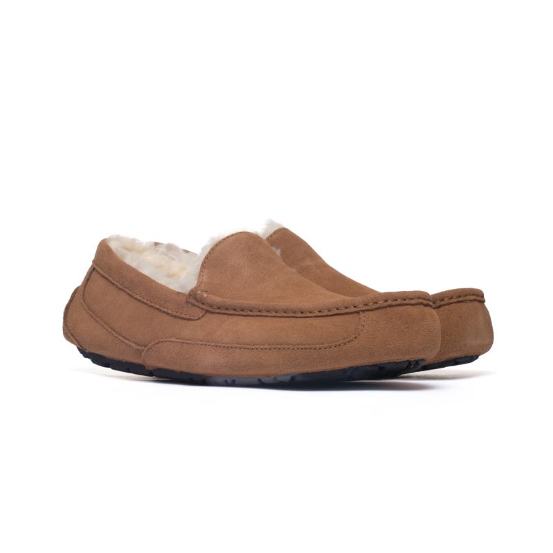 UGG ASCOT CHESTNUT M 1101110-CHE UGG ASCOT CHESTNUT M 1101110-CHE