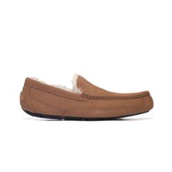 UGG ASCOT CHESTNUT M 1101110-CHE