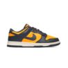 Nike Dunk Low Retro HF5441-700 Nike Dunk Low Retro HF5441-700